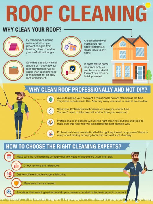 roof cleaning services ri