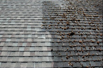 Roof Cleaning Providence