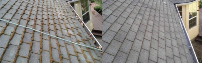 roof cleaning service rhode island
