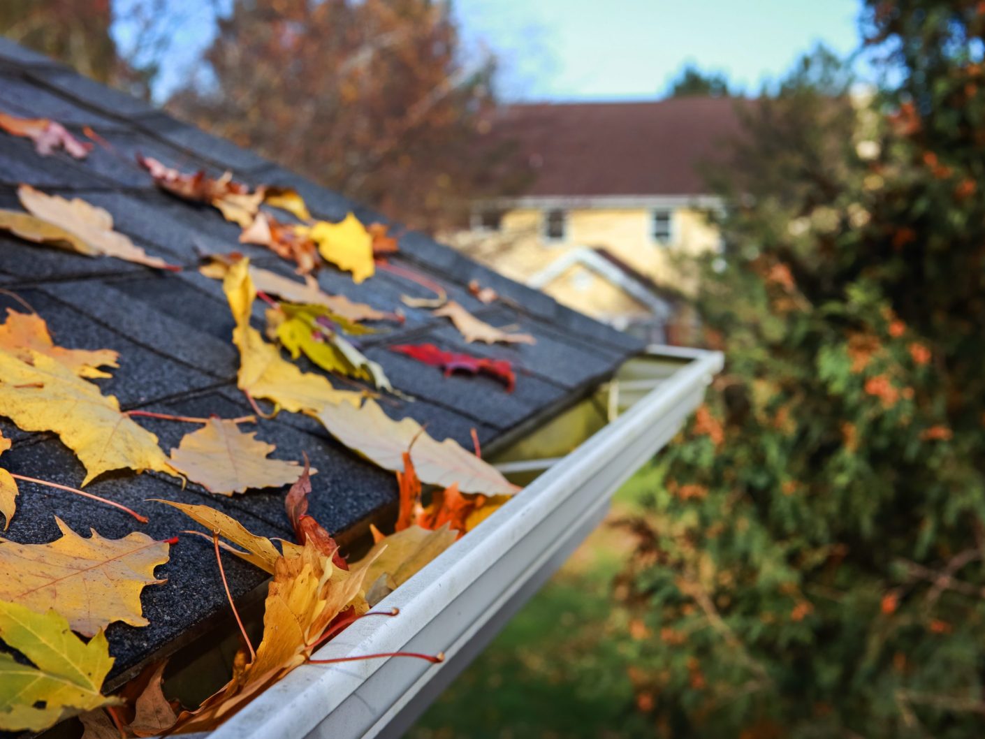 gutter cleaning providence ri