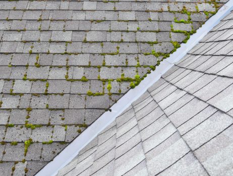 roof cleaning companies ri