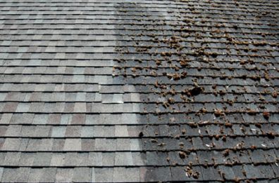 roof shingle cleaning service ri